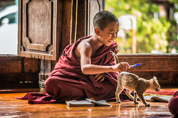 Discover the heartwarming tale of the cat who saved the Buddha in this Buddhist story of compassion and interconnectedness. Learn the lesson of kindness towards all beings.